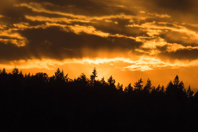 Silhouette trees against sky during sunset