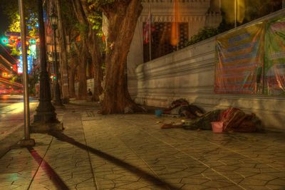 Illuminated footpath at night