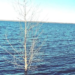 Close-up of blue sea against clear sky