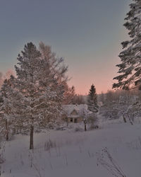 Trees on snow covered field against sky during sunset