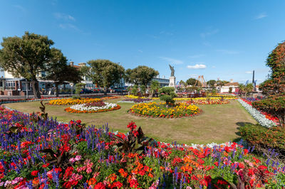 View of flowering plants in park against sky