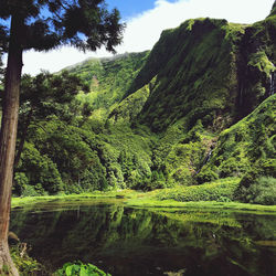 Scenic view of lake in forest against sky