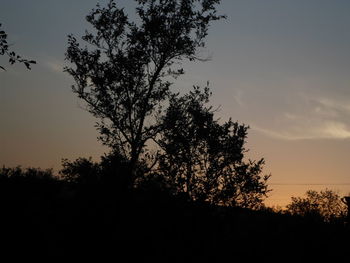 Low angle view of silhouette trees against clear sky