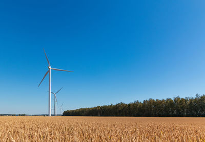 Windmills on scenic agricultural field against clear blue sky