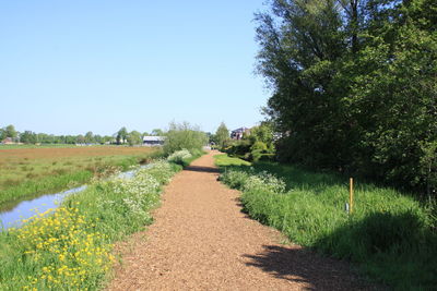 Footpath amidst field against clear sky