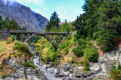 Bridge over river by trees against sky