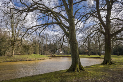 Bare trees by river against sky