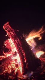 Bonfire in the dark