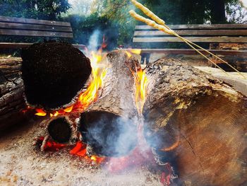 Panoramic shot of bonfire