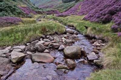 Stream flowing through rocks in river