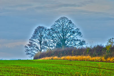 Scenic view of field against cloudy sky