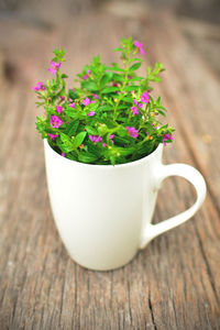 Close-up of flowers on table