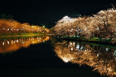 Reflection of trees in water at night