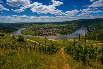 Scenic view of vineyard against sky