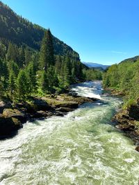 Scenic view of river amidst trees against sky