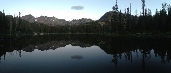 Reflection of trees in lake