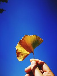 Cropped image of hand holding yellow leaf against clear blue sky