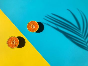 High angle view of orange fruit on table