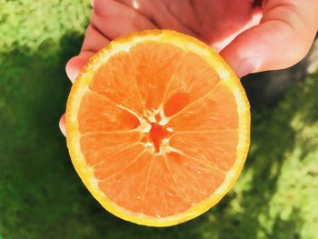 Close-up of hand holding orange