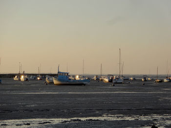 Sailboats moored in marina at sunset