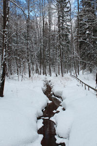snow