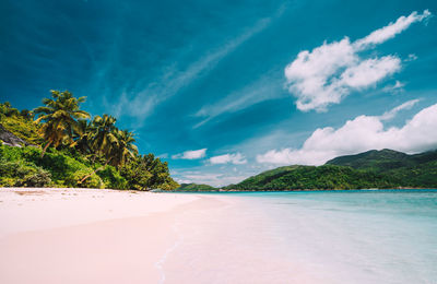 Scenic view of beach against blue sky