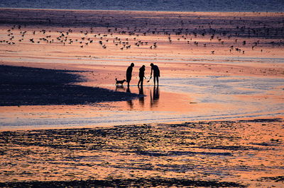 Scenic view of sea at sunset