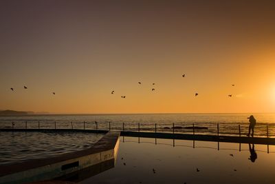 Silhouette birds flying over sea against sky during sunset