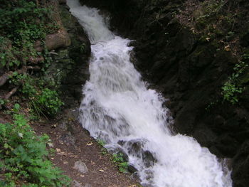 Waterfall in forest