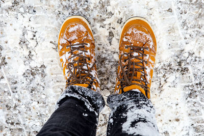 Low section of person standing on snow