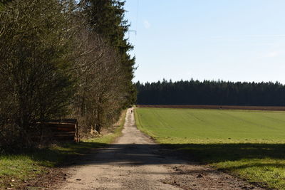 Road amidst trees on field against sky