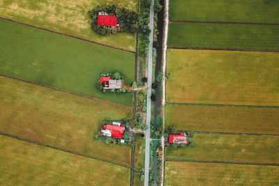High angle view of golf course