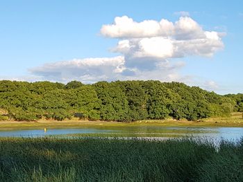 Scenic view of lake against cloudy sky