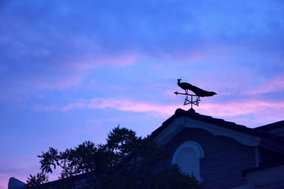 Low angle view of weather vane against sky