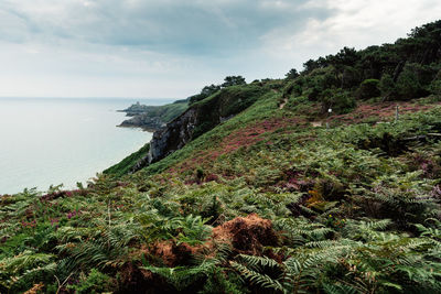 Panoramic view over cap frehel and fort la latte, brittany, france. atlantic ocean french coast