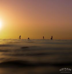 Silhouette people on beach against sky during sunset