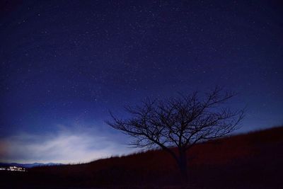 Low angle view of silhouette tree against sky at night