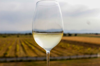 Close-up of wineglass on field against sky