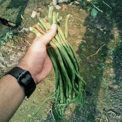 Midsection of human hand