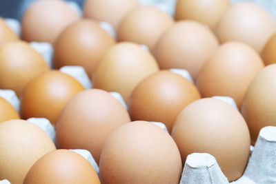 Close up whole eggs in box. raw chicken egg many. soft focus