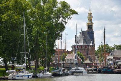 Sailboats moored on harbor by buildings against sky