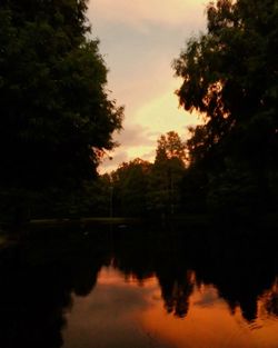 Reflection of trees in lake at sunset