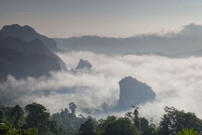 Low angle view of trees and mountains against sky