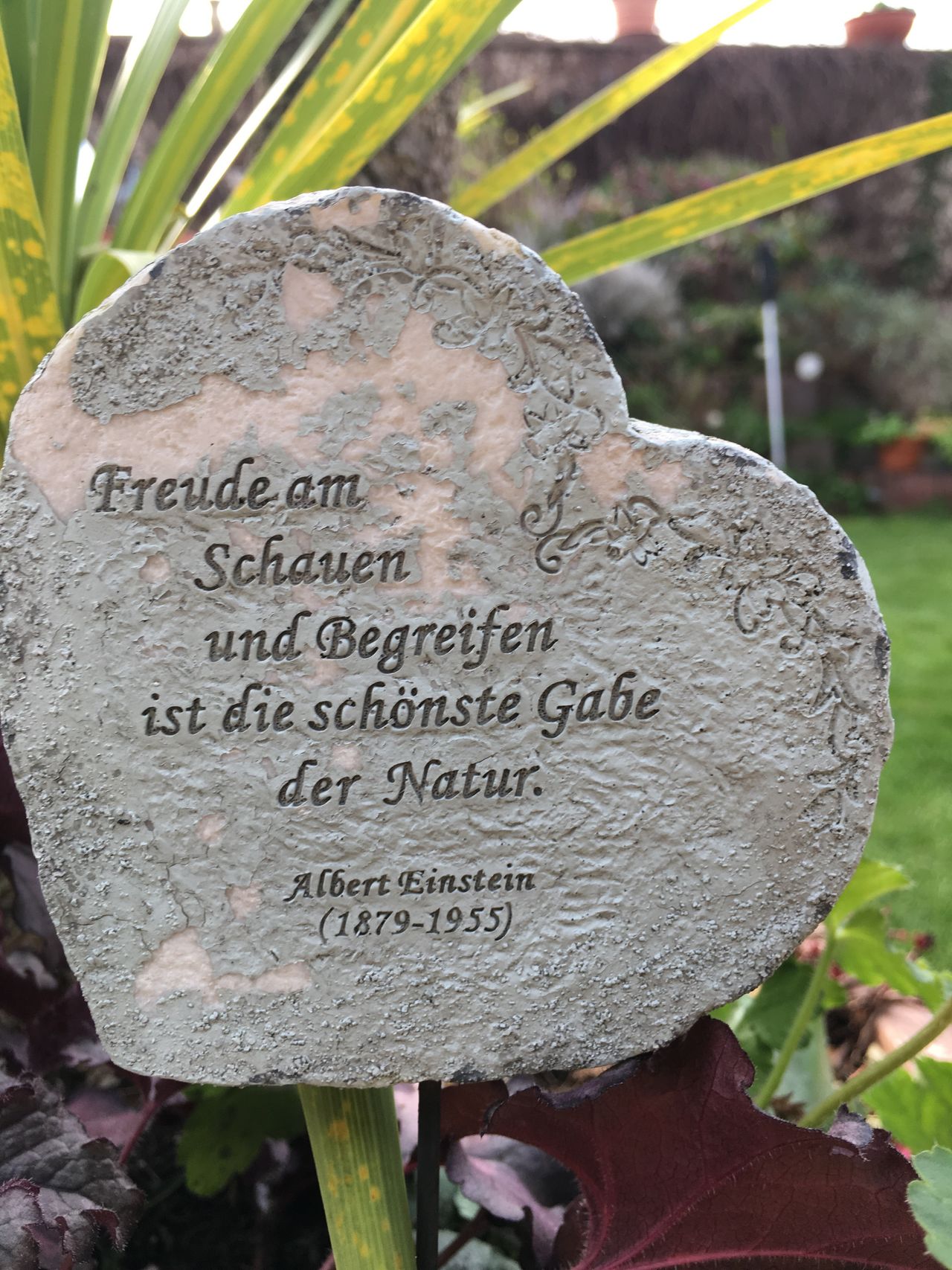 Mr. Albert Einstein say....