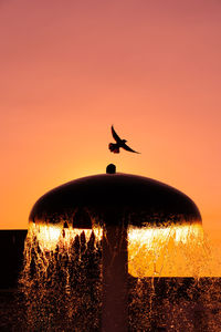 Silhouette bird flying over sea against orange sky