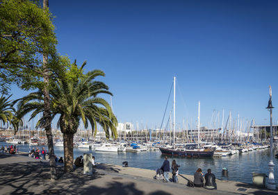 People on beach against clear blue sky