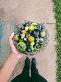 High angle view of person holding fruits