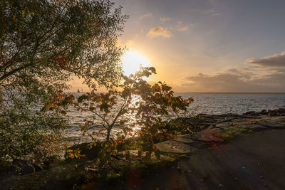 Scenic view of sea against sky during sunset