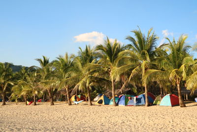 Scenic view of beach against clear blue sky