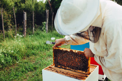 Side view of beekeeper examining beehive on land
